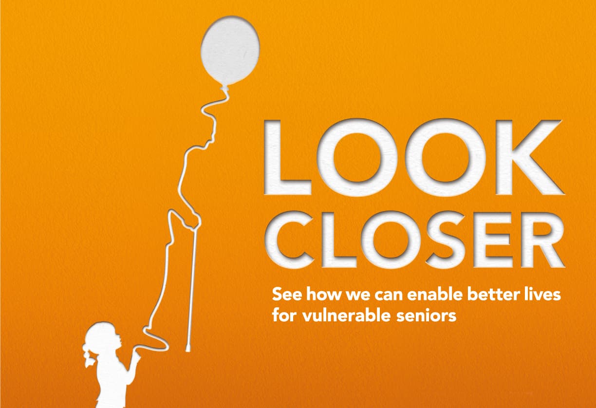 National Council of Social Service: Looks Closer